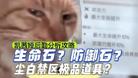 尘白禁区凯茜娅后勤词条分析攻略截图