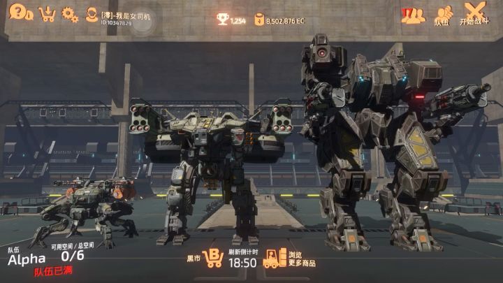 不知不觉已经11个T3满配了。截图