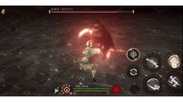 标准弹反教练，女枪无伤