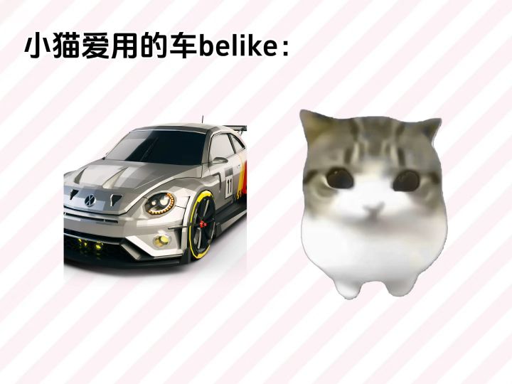 妙脆角小猫的喜好截图