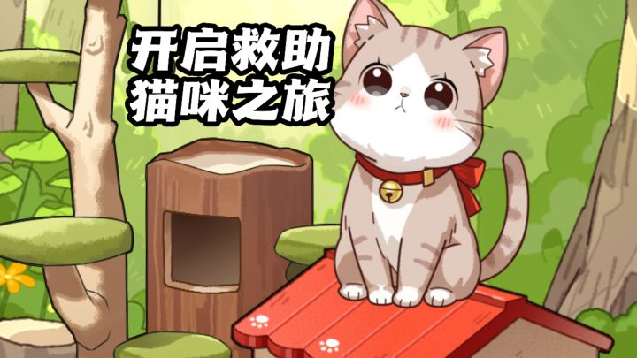 化身院长收养软萌小奶猫,打造专属猫咪乐园!截图