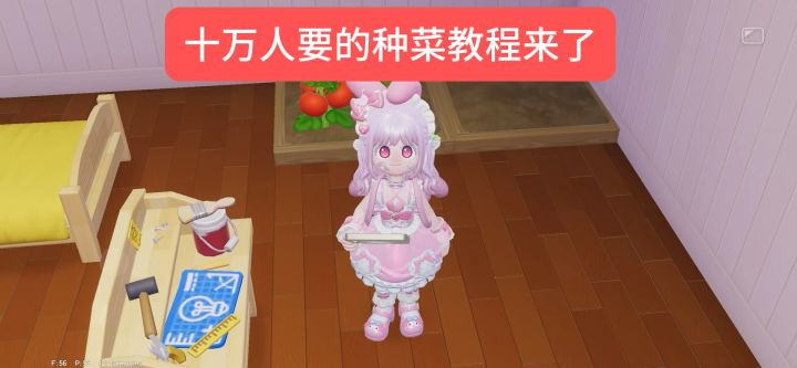 十万人要的种菜教程来啦截图