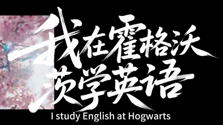 我在霍格沃兹学英语截图