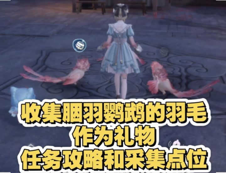 收集胭羽鹦鹉的羽毛作为礼物任务攻略与采集点位截图
