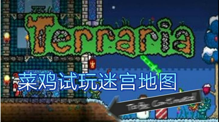 #我的2021年度游戏#菜鸡试玩泰拉迷宫地图截图