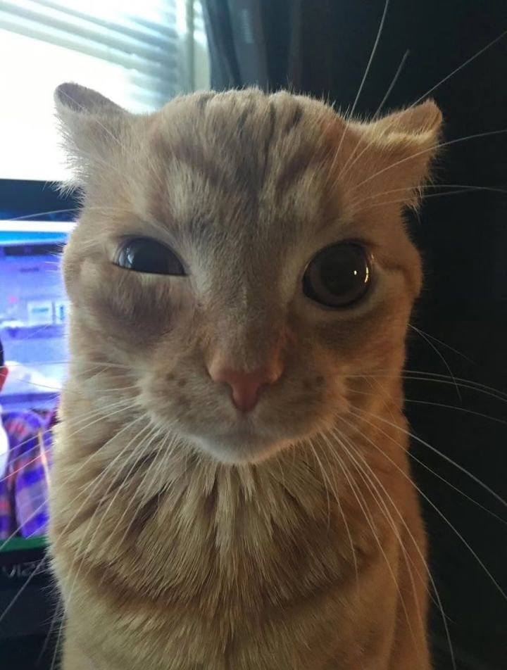 hello??为什么我的星盘总是这么诡异截图
