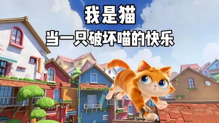 不体验一下当一只小猫,怎么能知道做一只猫的快乐!截图