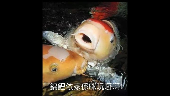 保底呢?内测就测了充值吗?截图