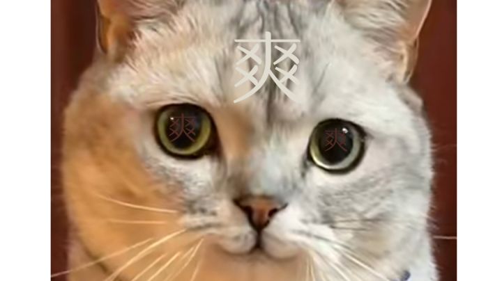 小小兽王,觉得你还没炎老师厉害有同意的吗截图