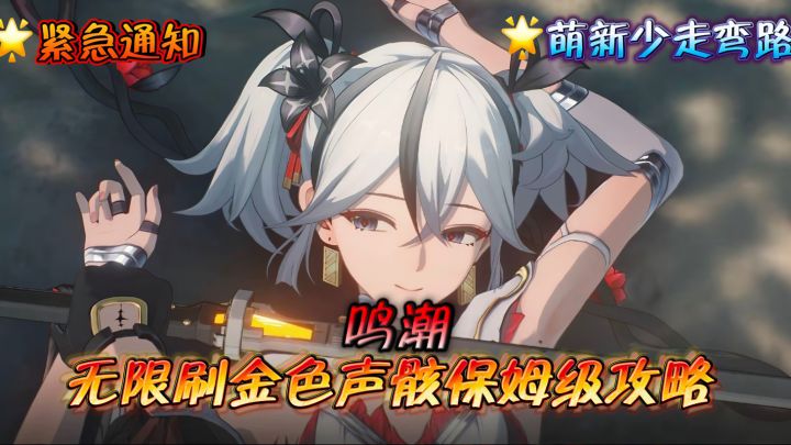 【鸣潮】开服新玩法爆料⚡️声骸攻略与无限刷金色声骸套路!截图