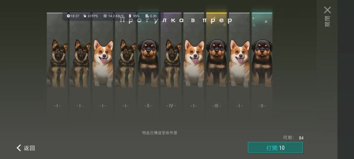 赛季攒的一点小狗箱抽奖截图