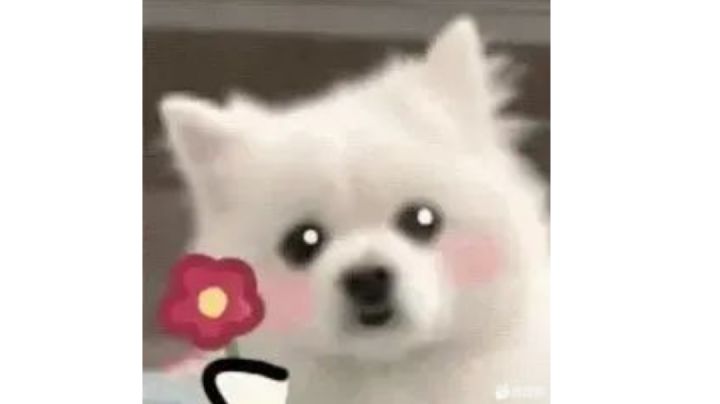 基础曲包在哪里?截图