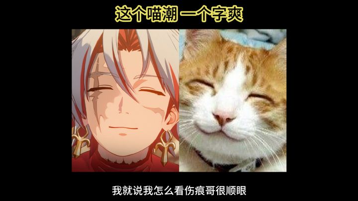鸣潮原来是喵潮!截图