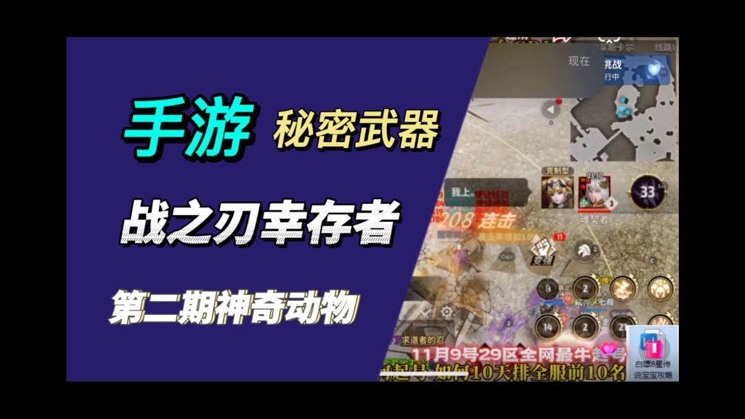 video-3769503