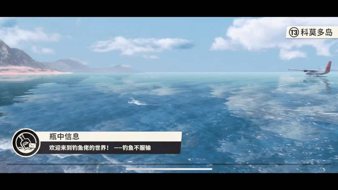 video-4160020