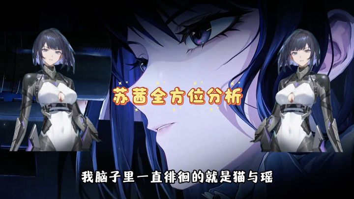 苏茜解析！！！截图