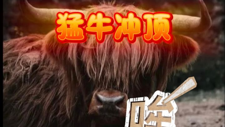 动物王者zooba截图