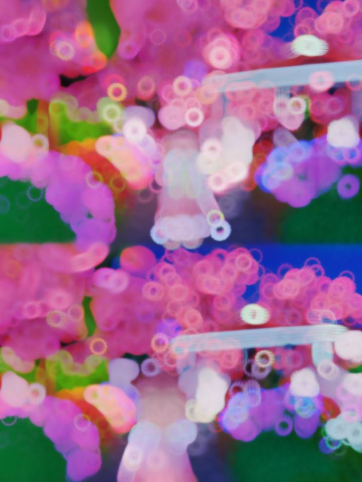 心动小镇｜樱花树下站谁都美截图