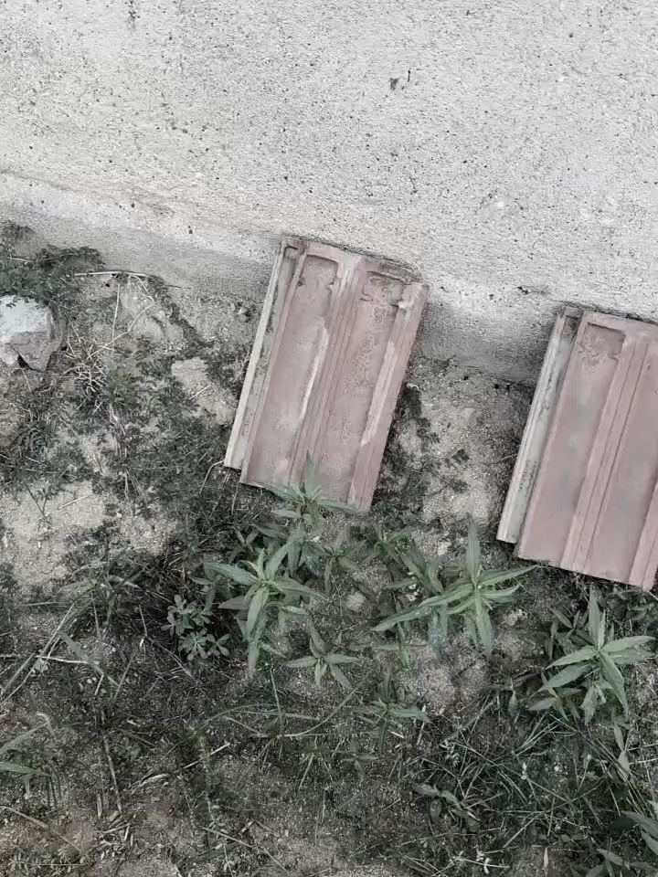 这就是城里人说的打瓦吗截图