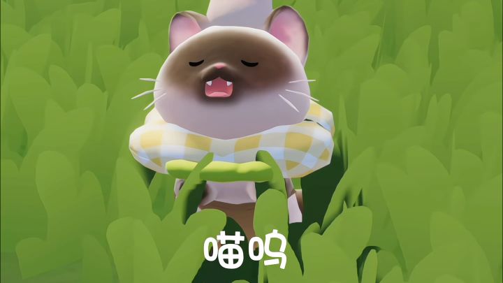 猫猫养腻了,什么时候能养狗狗啊截图