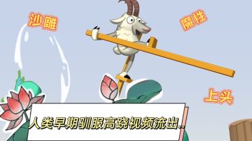 【莲的推荐】人类早期驯服高跷视频流出...#意想不到的魔性游戏#