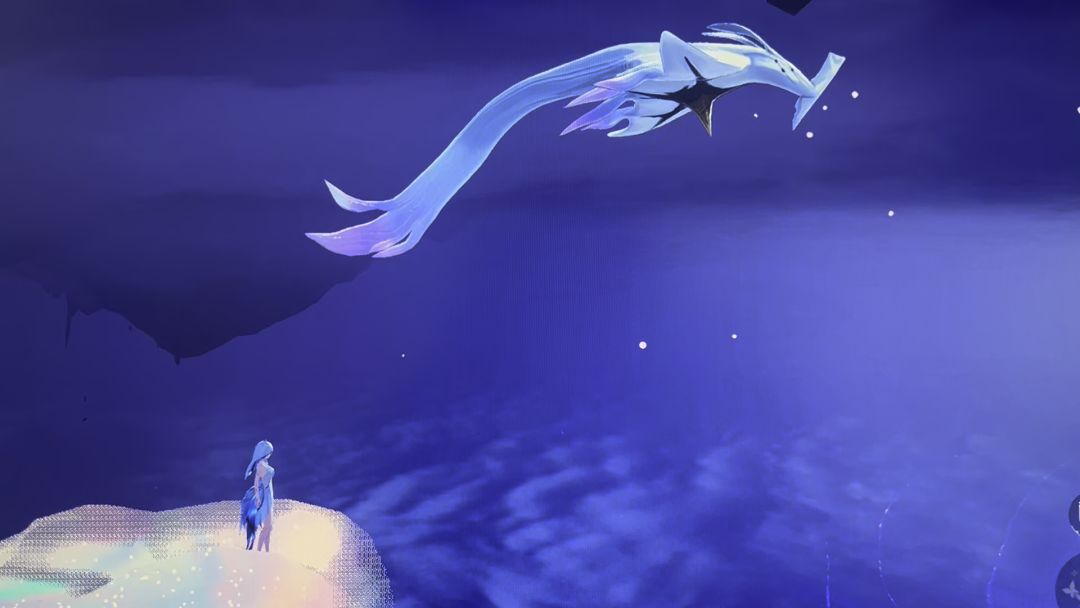video-5037415