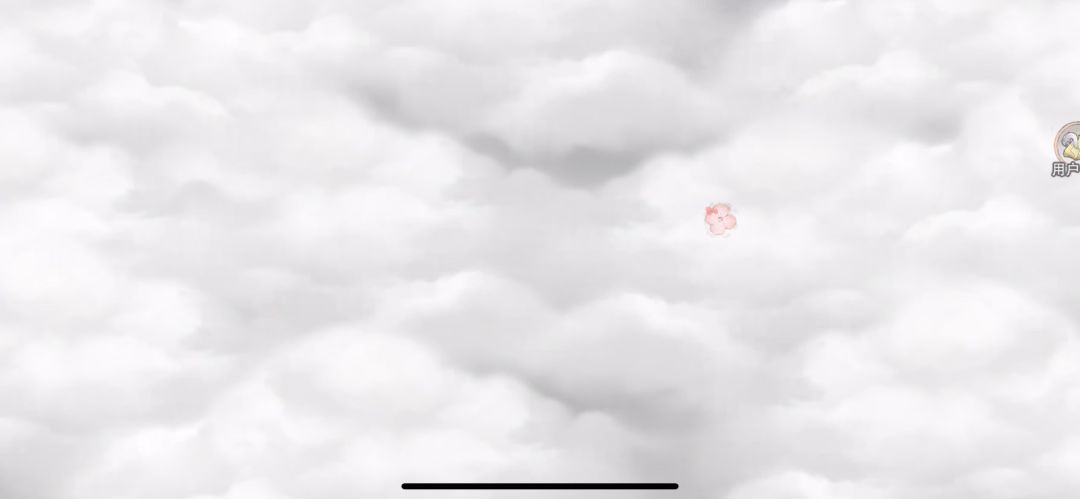 video-4656542
