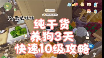 纯干货：3天速刷10级养狗方法攻略 系统完整版