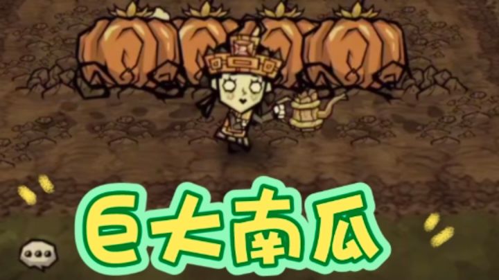 种出巨大南瓜截图