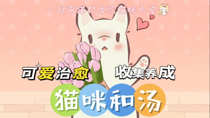 可爱治愈的猫猫们,难道你不心动吗截图
