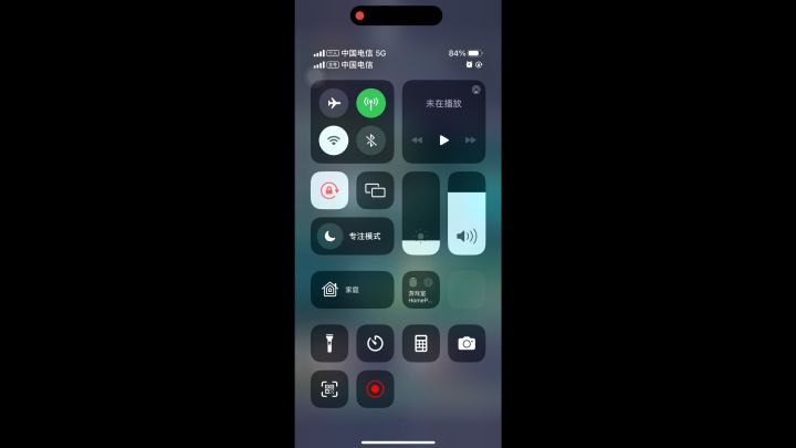 新区太古剑冢 乌龟怎么搭配截图