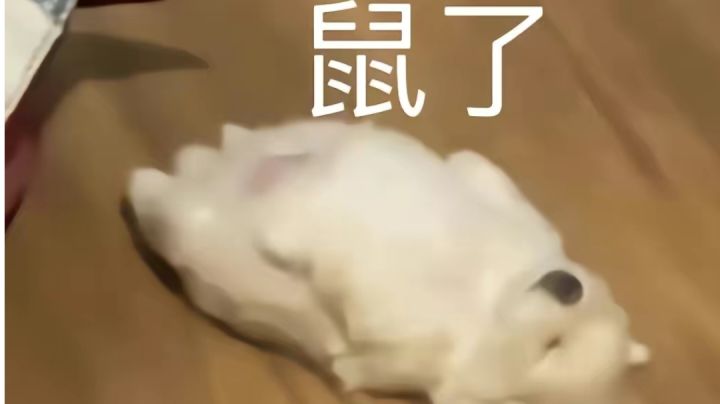 千抽暴爽体验截图