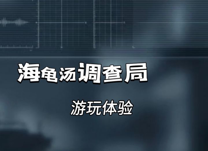 众多不同案件反推,一起来游玩海龟汤吧!截图