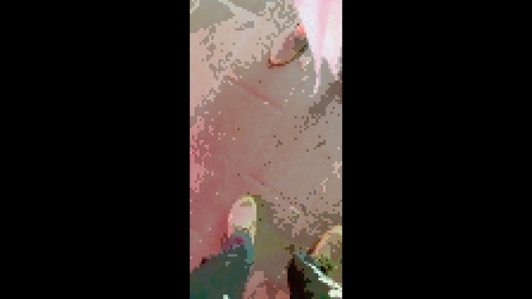 video-4154799