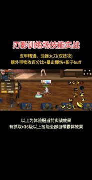 刃影训练场技能实战—帅不帅你说了算