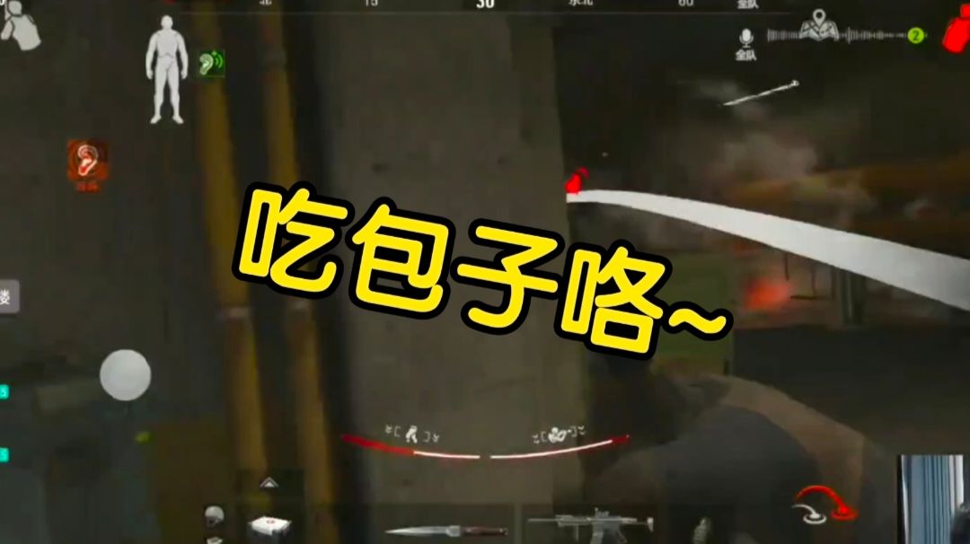 video-2993926