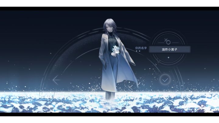 4-11超级笨蛋都能过的打法截图