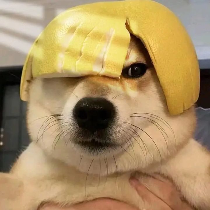 叠Q的诺手!截图