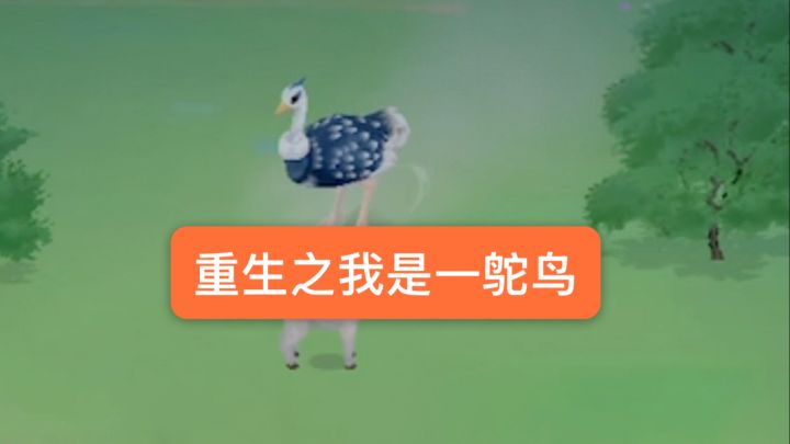 离谱阿。大变活人截图