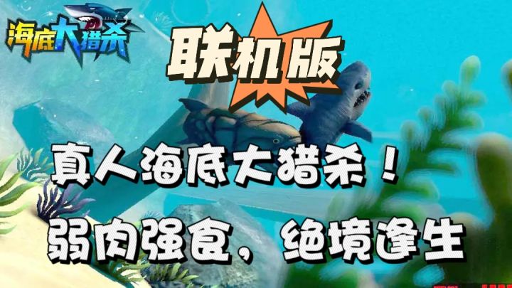 小鱼吃大鱼❓越级战斗❓弱肉强食的话,那就称霸食物链❗截图