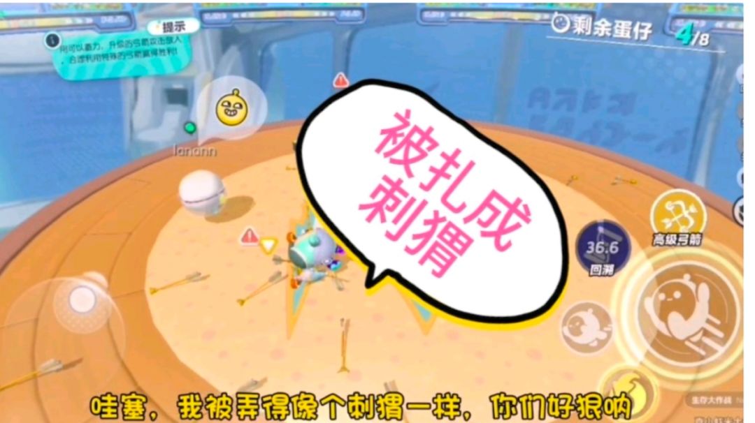 video-3799884