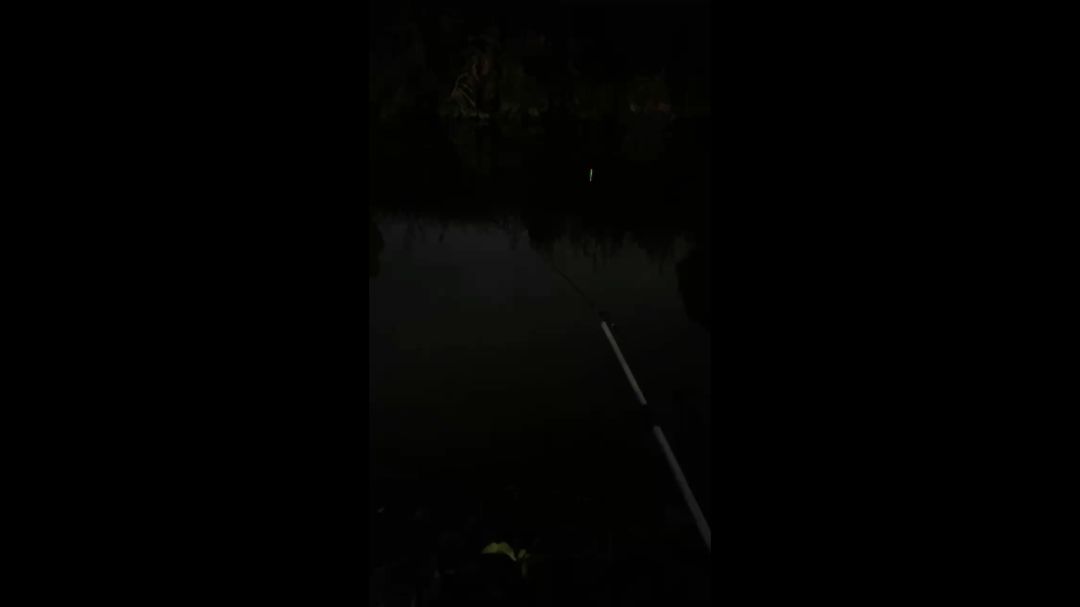 video-4046485