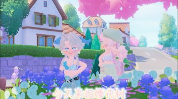 今天来拍樱花树