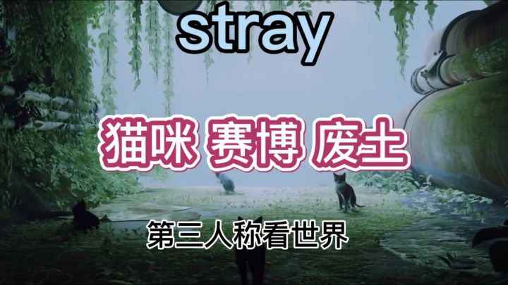 猫咪大逃生 看猫咪如何从废土世界中破局而出截图