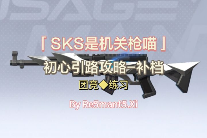 【初心引路攻略】【补档】演示:SKS是机关枪喵~截图