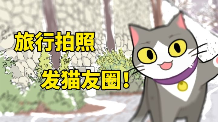 《关于猫主子旅行回来发朋友圈这件事》#新游观察局#截图