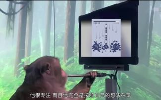 猴子使用脑机玩超宇宙IN，成功拿下110％+得分率