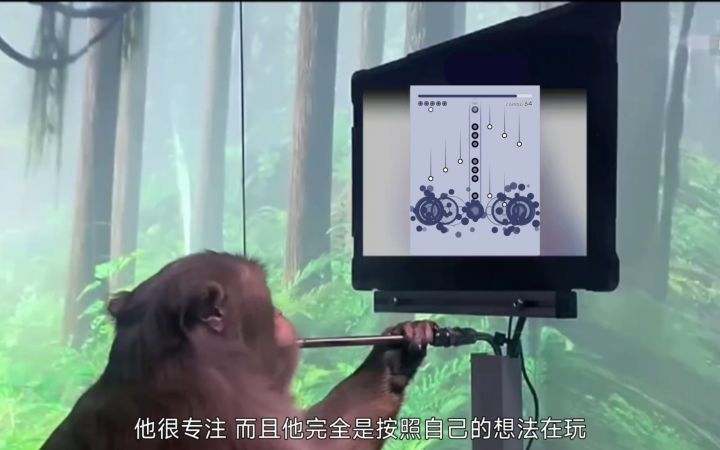 猴子使用脑机玩超宇宙IN，成功拿下110％+得分率截图