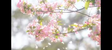 「留夏」由他录制下专属于你们的一天