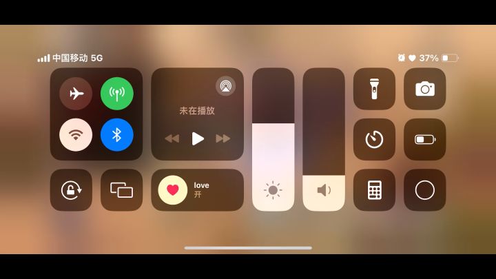 狮子狗截图